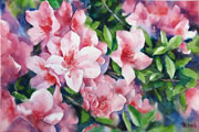 Thumbnail Image 1