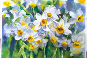 Thumbnail Image 1