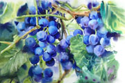 Thumbnail Image 1