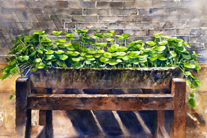 Thumbnail Image 1