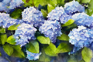 Thumbnail Image 1