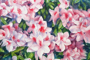 Thumbnail Image 1