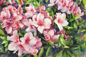 Thumbnail Image 1