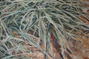 Thumbnail Image 1