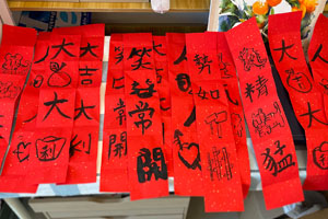 Thumbnail Image 1